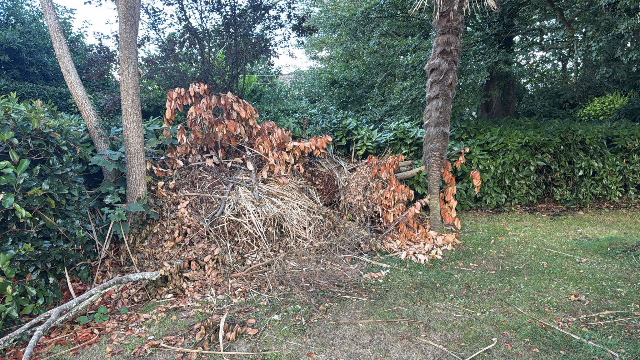 Tree and garden clearance work
