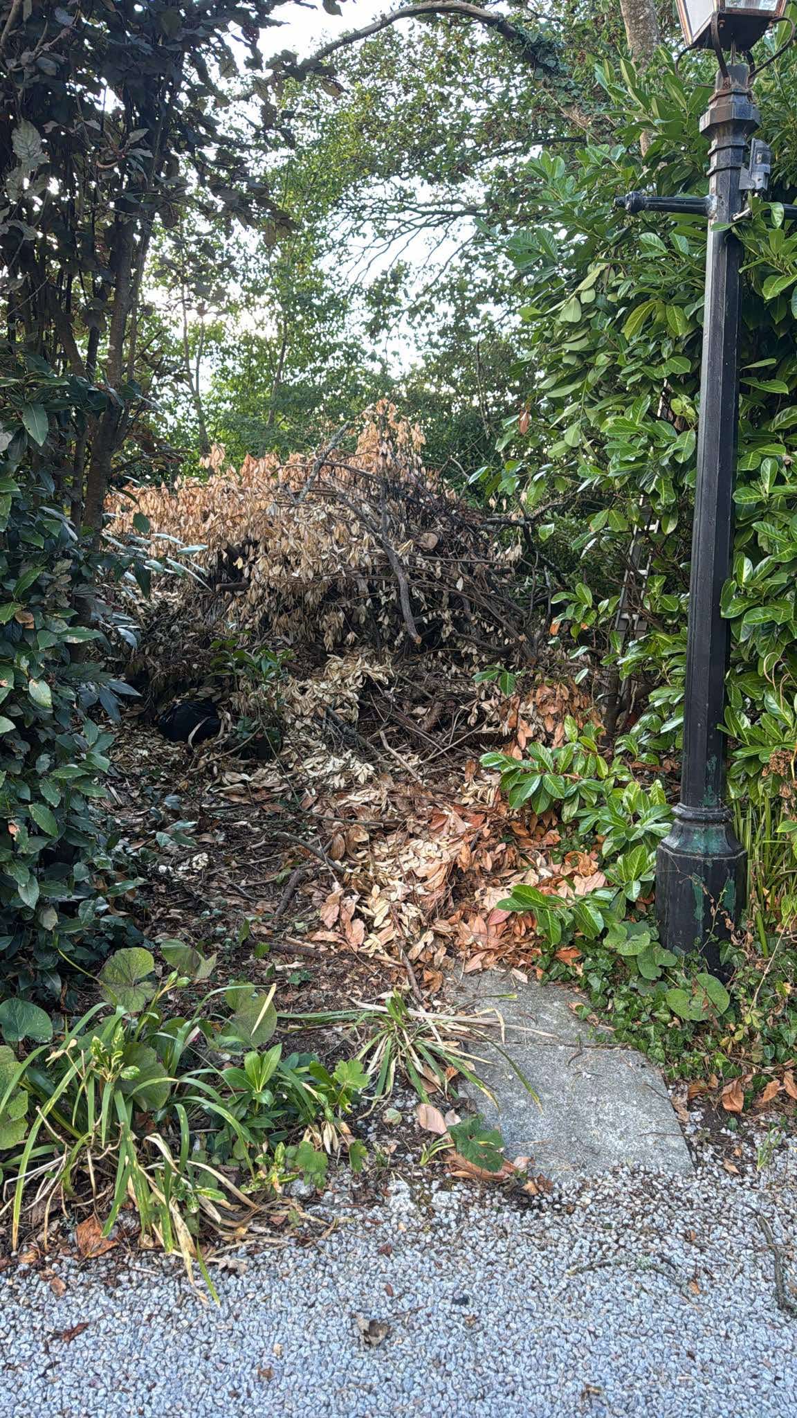 Tree care and garden maintenance work
